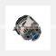 Alternator Regulator VG1095094002 für Faw Jiefang, Shacman, Foton, Dongfeng, Beiben, Jac, Weichai und Yuchai Motoren - Lkwersatzteile