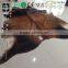 Brazil Natural Cowhide Carpet