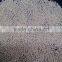 Loose Pearls Undrilled