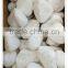 Factory Wholesale Tumbled Pure Snow White Pebbles From China