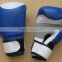 boxing gloves/gym gloves