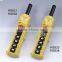 HS833 Hoist Waterproof Push Button Pendant Switch with Emergency Stop & Illuminated push off - push on Switch Single Speed
