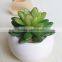wholesale artificial mini succulent flower plants, mini flower bonsai