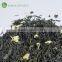 Best herbal green tea slimming flower tea