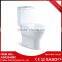 Made In China Cheap Washdown Girl Toilet Chinese Ceramic Wc