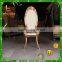 Airport Chair Armless Resin Chiavari Chair