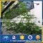 artificial stainless steel 304 climbing mesh netting for green wall fences