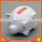 Pig Shaped Money Safe Box, Animal Shaped Money Box