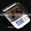 MINI LCD 0.1g x 2000g Precision Jewelry Food Electronic Digital Balance Weight Scale