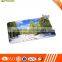 Office supplies Anti Slip Cute Dog mouse pad