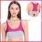 Sexy Polyster Breathable Woman Sport Bra With Pads