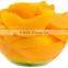 Canned yellow peach with good quality for sale