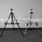 easel