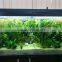 led freshwater fish led lighting aquarium light red and green cool white 2*180cm planted freshwater