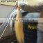 Human Hair Seller in India
