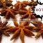 No Stem Well Dried Star Aniseeds