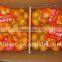 Nanfeng Baby Mandarine