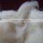 wool waste 19.5-34mic 40mm white and brown price 0.45-7.00/kg