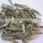 High Quality Olive Leaf Extract with Oleuropein from GMP Factory