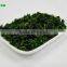 Dehydrated Broccoli Supplier Price Competitive