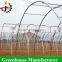 China hot sale commercial flower greenhouse for sale