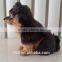 furry lifelike realistic animal figurines simulated dog with clothes
