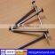 ISO9001:2008 high quality/low price stainless steel nail