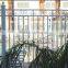 Electrostatic spraying Commercial Landscape fence
