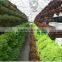 Glass Greenhouses
