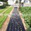 Plastic Agricultural Perforated Film With Holes for Seeding Growth
