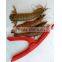 CY125 Shrimp Deveiner and Peeler Prawn Seafood Shell Curved Peeler