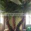 Decoration Plants Artificial Washington Palm Tree