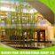 Professional Design Plant vertical wall