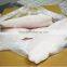 Pangasius fillet/pangasius steak/pangsius whole round