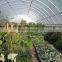 Small single span film covering flower greenhouse