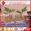 Rock wool hydroponic grow medium