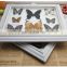 Real Butterfly Mounted in Frames - Decoration & Gifts