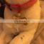 Cute design customized logo engraved metal pet tag