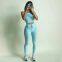 Hot Sales Girl Seamless Fitness & Yoga Wear High Quality Wholesales Workout Gym Sport Set