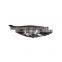 Детали корпуса фары D5BB - 13W030 - AB, фара D5BB - 13W029 - AB для Ford Fiesta 2013 года