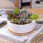 New Product Christmas Decoration Set Planter European Chaozhou Plant Humanoid Succulent Giant White Ceramic Flower Pot