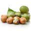 Manufactory direct grade best  a kernels gansu in shell green walnut  good price