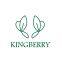 Shenzhen Kingberry Electronic Technology Co., Ltd