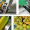 CHINA Factory weighting machine counting machine packaging machine Professionally packaged vegetables