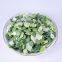 Pure nature new crop hot selling freeze dried leek
