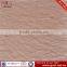 roughness non-slip floor tile small with spotty