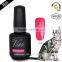 2015 new brand smartly 79colors cheap wholesale cat eye color gel nail polish 15ml with OEM free sample