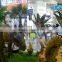 Dino Park equipment interactive body control dinosaur group