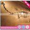 2016 Hot sale museum park life-size real dinosaur skull