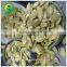 pistachio snow white pumpkin seeds kernels